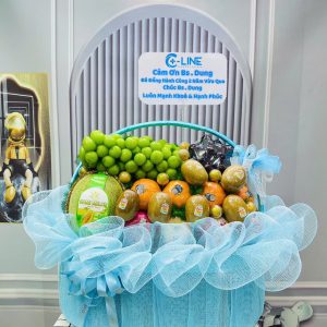 Giỏ Trái Cây NL0016